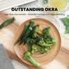 Okra Crisps Mini (10g) x 12